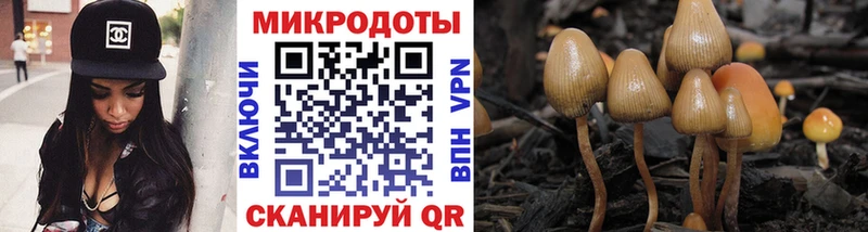 Купить  Ахтубинск  Галлюциногенные грибы Magic Shrooms 