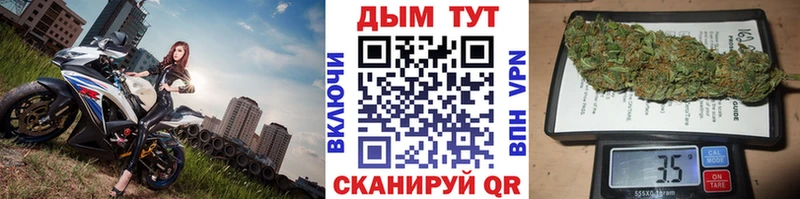 Шишки марихуана Amnesia  Купить где  Ахтубинск 